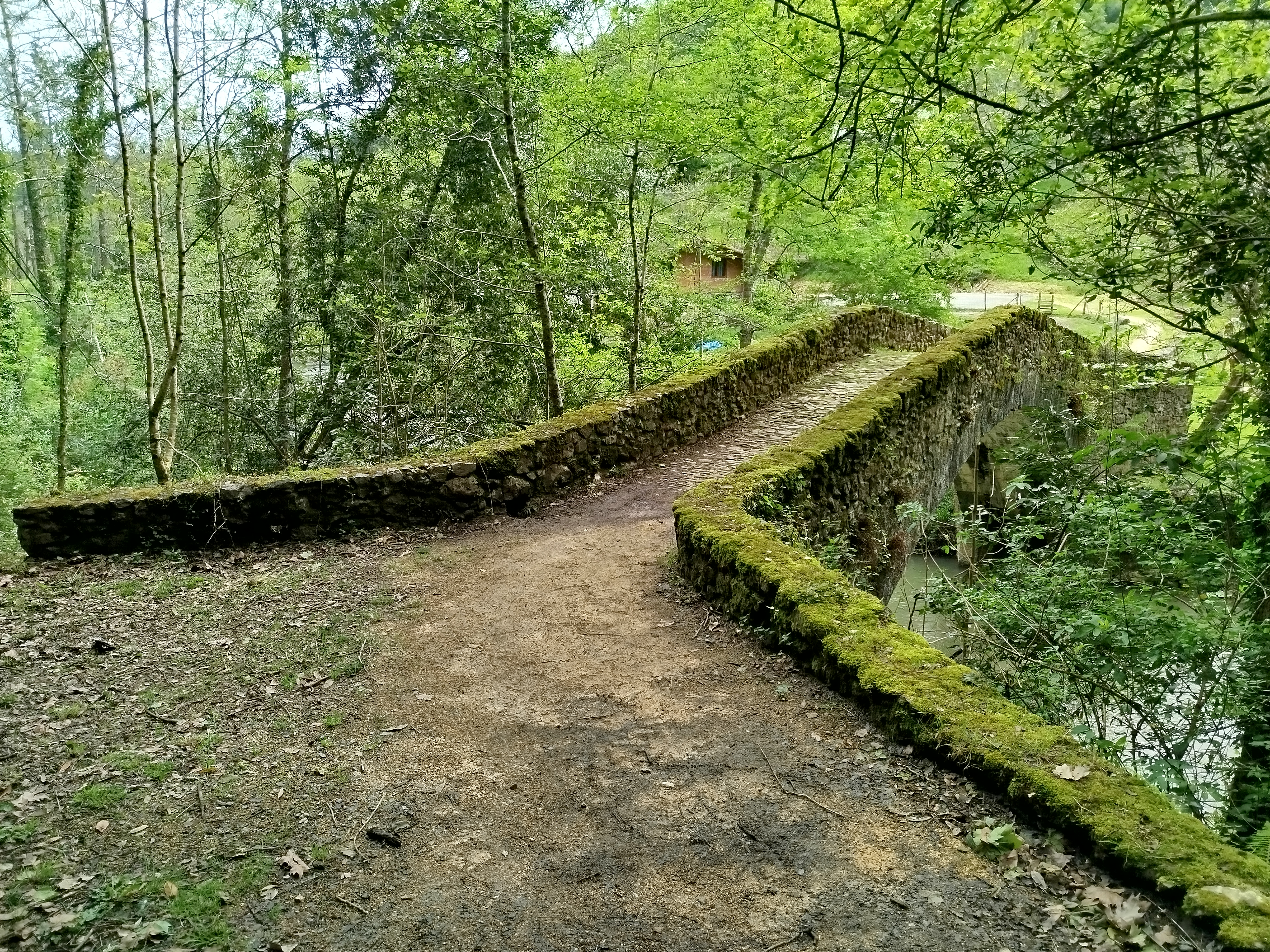 Puente Románico de Artinerrota y márgenes del río Lea