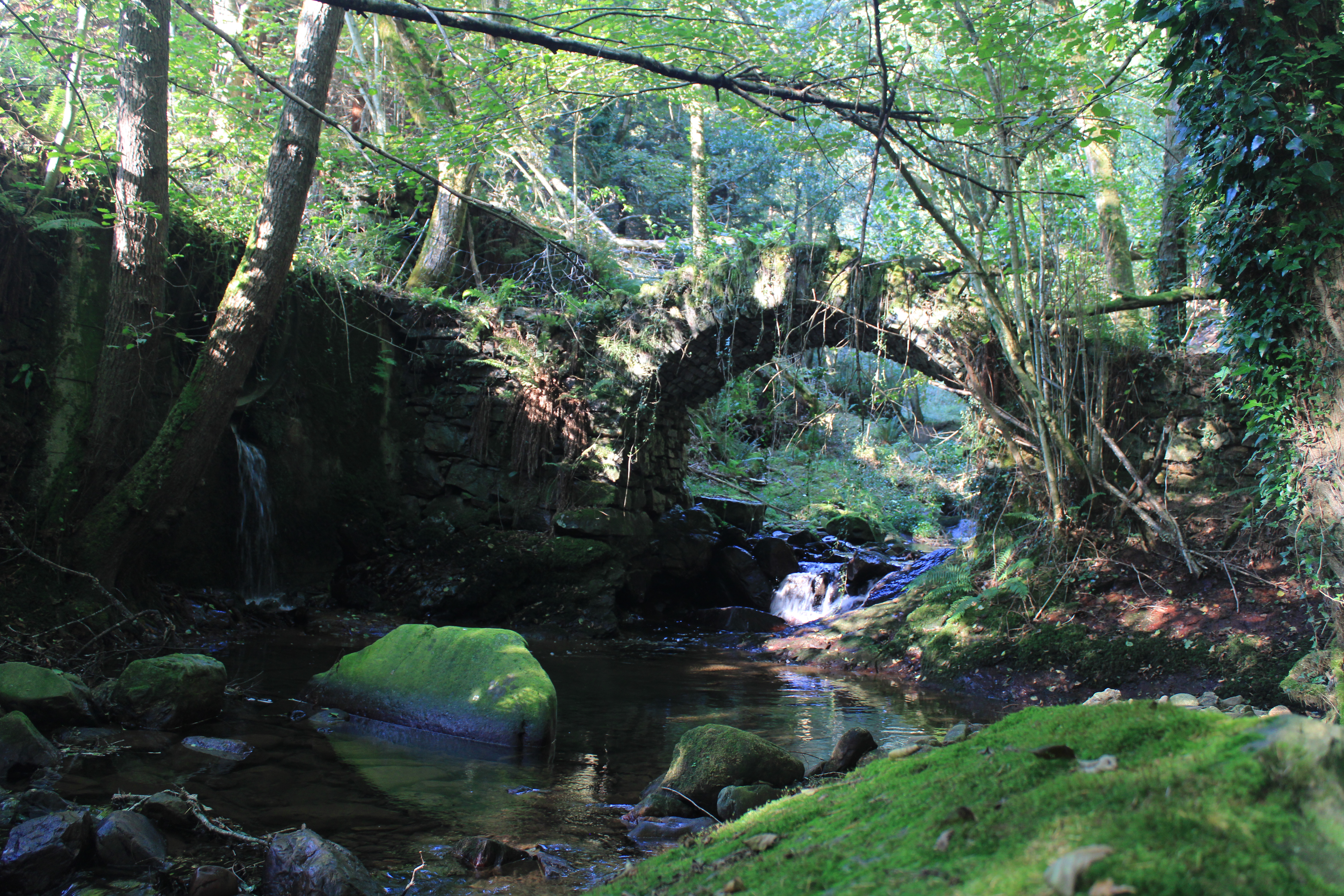 Área de Isasi - Arroyo